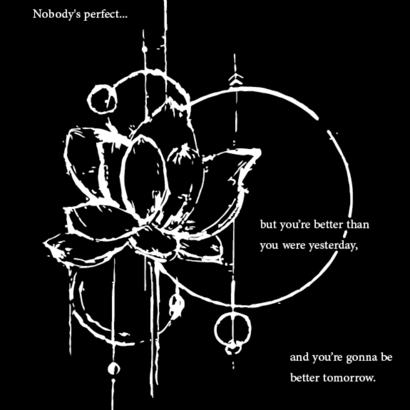 nobodys-perfect