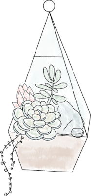 Succulent Terrarium